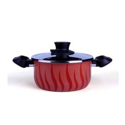 Tefal New Tempo  Flame Dutch Oven 22 + SS Lid