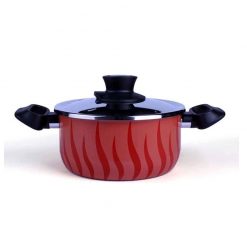 Tefal New Tempo Flame Dutch Oven 24 + SS Lid