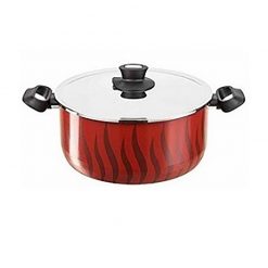 Tefal New Tempo Flame Dutch Oven 30 + SS Lid