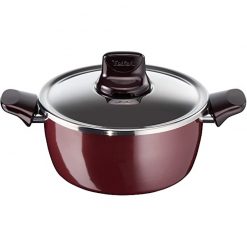 Tefal D5024662 Pleasure Stewpan 24cm & Lid