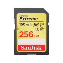 sandisk extreme 256 GB memory card