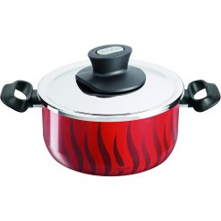 Tefal C3044483 Tempo Flamme - Stewpot 20 + Ss Lid