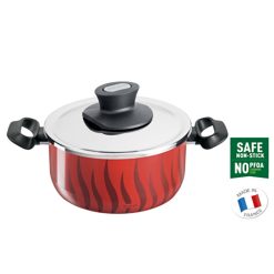 Tefal C3044583 Tempo Flamme - Stewpot 22 + Ss Lid