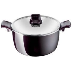 Tefal D5225282 Resist Intense - Stewpot 26cm + Glass Lid