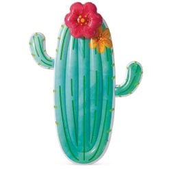 Intex 58793EU Cactus Float